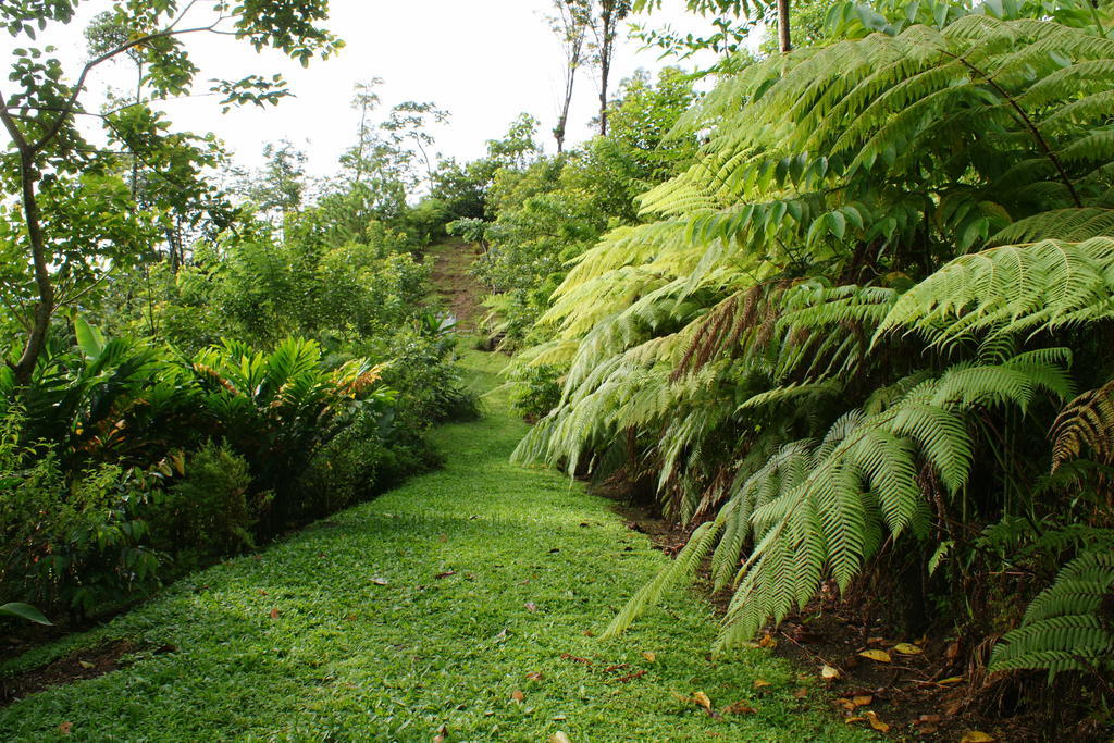 Arenal Waterfall Lodge Exterior foto